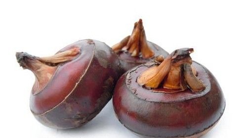 茎菜类蔬菜有哪些?