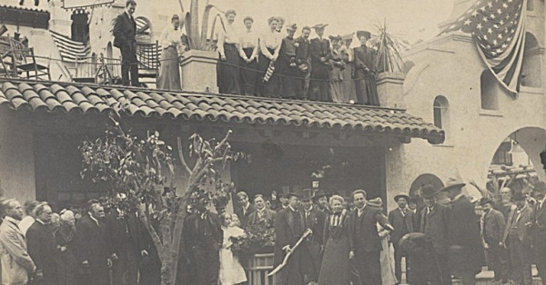 罗斯福总统与脐橙 脐橙的起源地在哪儿?