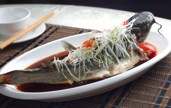 鱼 如何重新加热剩菜剩饭,让食物尝起来像新的一样