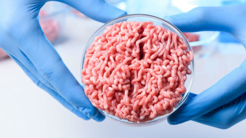 美国农业部和美国食药监局宣布监管畜禽细胞系