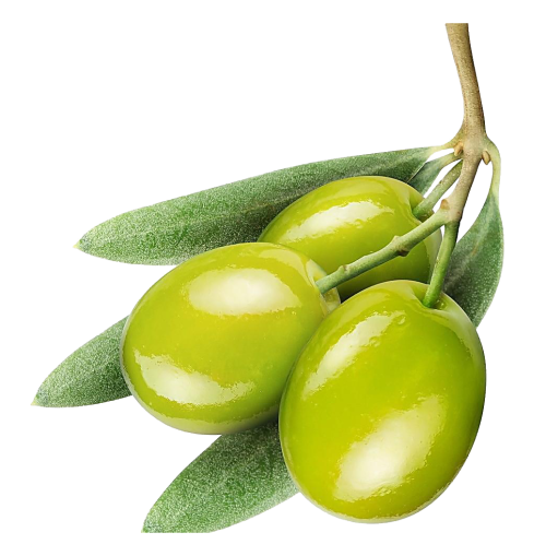 橄榄的营养价值和健康功效