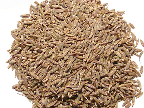 孜然 11种美味的调味品,让你少用盐!