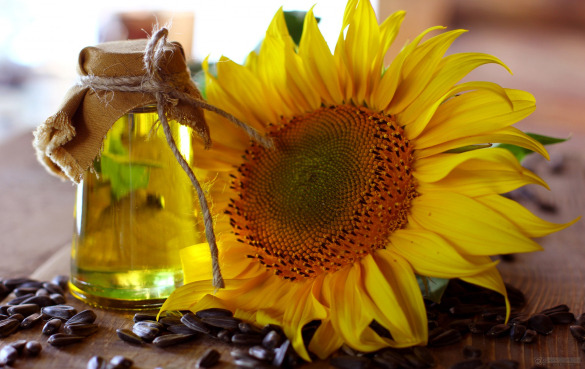 葵花籽油的功效与作用，对身体有什么害处？