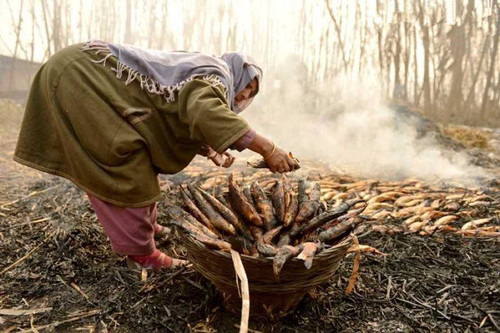 印度美食：百年烟熏鱼