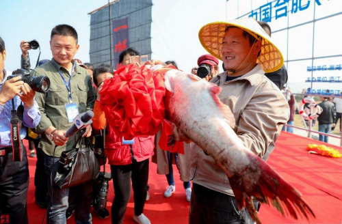 合肥举办第四届巢湖开湖节暨湖鲜美食节
