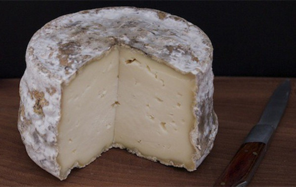 发霉的奶酪是什么品种？还能吃吗？