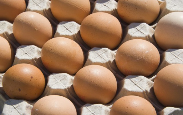 我们应该吃鸡蛋吗？吃鸡蛋会提高你的胆固醇吗？