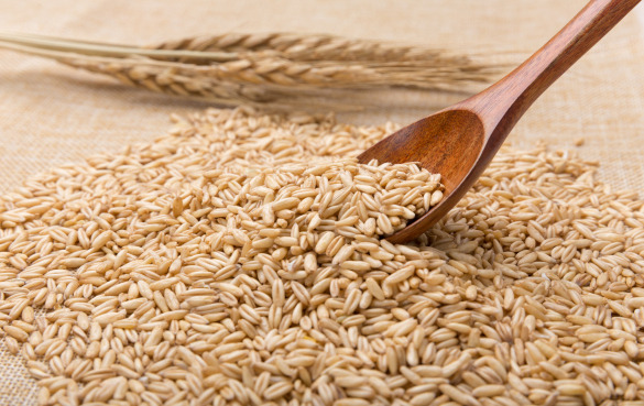 生燕麦能吃吗？有什么营养价值和功效？