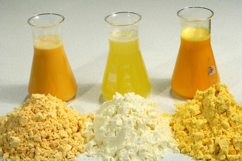 鸡蛋粉的营养价值和功效